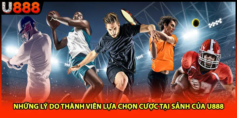 Những lý do thành viên lựa chọn cược tại sảnh của U888